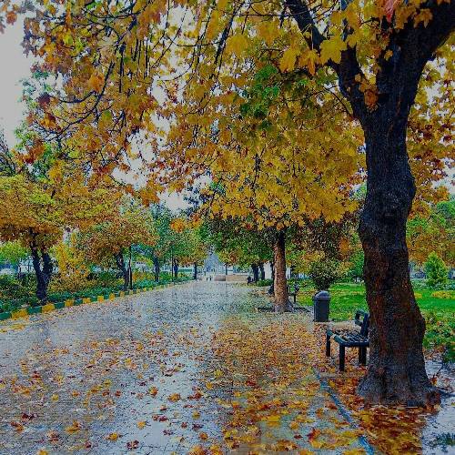 اجرای گروهی از من دیوانه بگذر بگذر ای جانانه بگذر هر چه بودی هر چه